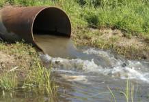 Shocking Discovery: Woman’s body found floating in sewer pond