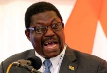 Zanu PF unveils winning candidates for upcoming by-elections after intense primaries