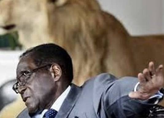 President Mugabe’ secrets exposed over his ‘mwana wemusango’: Secret son born out of marriage fights demands his share of Mugabe’s legacy