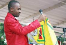 VIDEO: Zanu PF driver goes wild with excitement as he greets people’s favourite leader Chamisa
