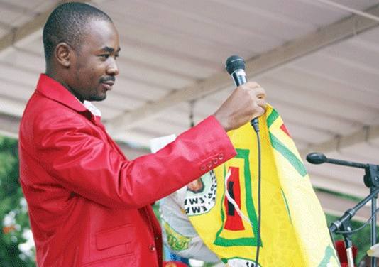 VIDEO: Zanu PF driver goes wild with excitement as he greets people’s favourite leader Chamisa