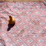 Chiwandandebvu-muthi-2