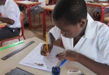 Zimbabwe Education Minister pushes for removal of Grade 7 exams