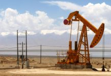 GOOD NEWS: Zimbabwe’s Vision 2030 takes a leap forward with significant oil and gas discoveries