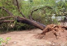 Disaster as devastating storm leaves Goromonzi community in disarray