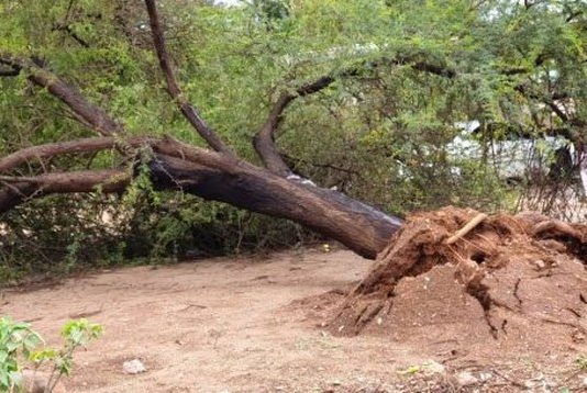 Disaster as devastating storm leaves Goromonzi community in disarray