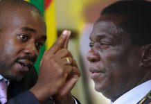CCC candidates saga: Angry Nelson Chamisa strongly warns Mnangagwa, threatens to boycott elections