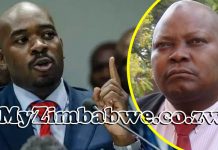 ‘Free CCC vice chairperson Job Sikhala now or there will be no elections’