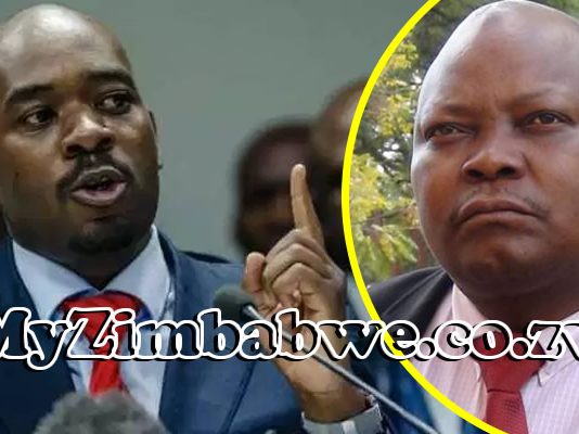 ‘Free CCC vice chairperson Job Sikhala now or there will be no elections’