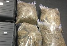 Ma in hot soup after being caught with mbanje at his home