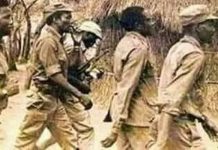 Retracing late former President Robert Mugabe’s tortuous journey into Mozambique in 1975