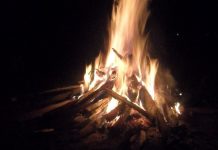 Mayhem as police burn 600kg of beef meant for Chamisa’s CCC victory rally