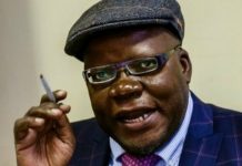 Tendai Biti slapped with a 6 month wholly suspended prison sentence