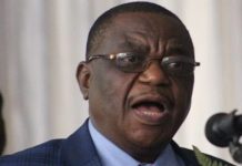 VP Chiwenga unveils President Mnangagwa’s ancestor Muvengo’s role in King Lobengula’s Ndebele army