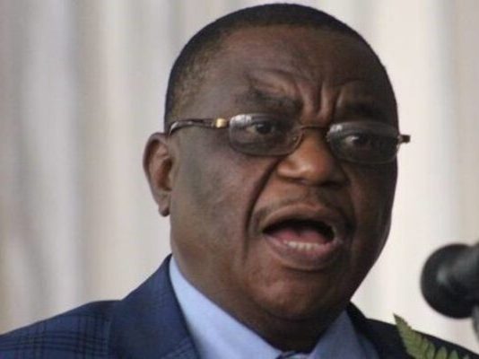 VP Chiwenga unveils President Mnangagwa’s ancestor Muvengo’s role in King Lobengula’s Ndebele army