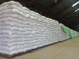 Govt Eyes New Grain Import Levies to Fund Irrigation Expansion