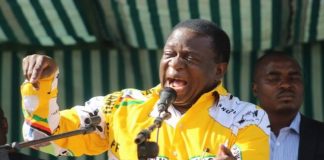 ‘Zim cannot afford to keep pampering war vets as if they were contracted to fight in liberation war’