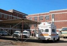 From drinks to danger: Man’s night out takes a dark turn with harrowing beating