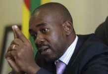 CCC leader Nelson Chamisa’s bold declaration fuels political firestorm ahead of 2023 elections