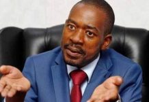 Zanu PF savages ‘desperate’ CCC leader Nelson Chamisa over election boycott threat