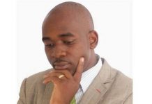 Zanu PF bigwig destroys ‘baseless’ Chamisa’s CCC claims, leaves opposition speechless