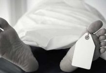 LATEST: 2 notorious armed robbers gunned down in horrific Budiriro shoot-out (SEE NAMES)