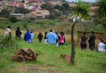 Murdered woman’s body parts found scattered in different locations