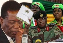 Former CIO Deputy Director says Mnangagwa, Chiwenga, Shiri planned 2017 coup to evade arrest: Mugabe had revealed his successor