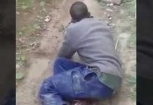 Horror scenes as fraudster bashes policeman with a metal hoe on the head while resisting arrest