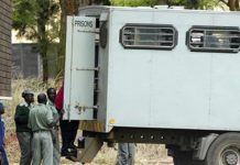 Drama in Mbare: 30 Malawian border jumpers arrested!