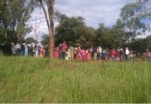 Zimbabwean woman strangles newborn baby, dumps body in empty yard in South Africa