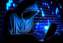 Kenyan tourist Primrose Nyeri Mwangi hacks into Zimdef database and steals $20 million