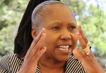 Musanhu, Mathema and 16 bigwigs expelled from Zanu PF