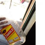 zim-gold-cooking-oil