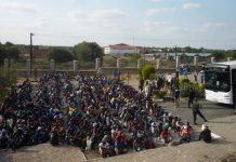 ZEP Nightmare: Zimbabweans facing mass deportation from South Africa as waiver applications stall