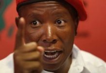 Why are you trying to block Kasukuwere?: Julius Malema breathes fire, hits out at ED Mnangagwa