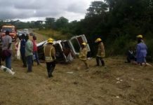 Tragic Toll: Over 100 killed and 534 injured in holiday road accidents