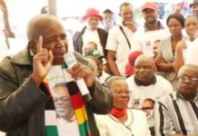 JUST IN: Zimbabweans risk losing citizenship, right to vote for being ‘disloyal’ under new law