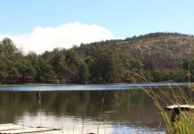 SAD: ‘Karikoga now living about 600 metres from the dam in a substandard house’