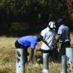 political-violence1_zanu