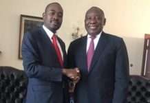 ED Mnangagwa in trouble: CCC leader Nelson Chamisa drops bombshell