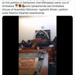 Screenshot_2020-10-08 WATCH Parliament rejects petition to make Matabeleland an Independent country