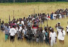 SO SAD: Game over for 200 Zanu PF supporters who were allocated plots at Umvutsha farm in 2008