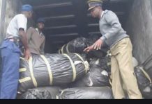 Man in hot soup after being caught with 1 530kg of mbanje