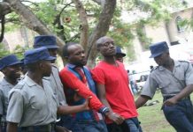 President Mnangagwa’s government under fire over Itai Dzamara who was abducted 10 years ago: “You know what happened to him”