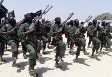 Horror Scenes: 20 civilians killed as jihadists attack village