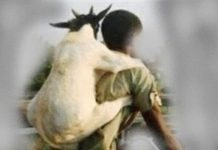Drama as thief gets caught red-handed selling stolen goat meat