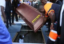 Baba Robert Mugabe must surely be turning in his grave!: Dr Stop It speaks out