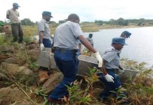 Penhalonga man found dead, body was mutilated and the face had no mouth!