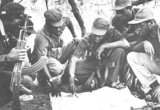 It was normal to spend days without food: Guerrilla narratives of Zimbabwe’s liberation war